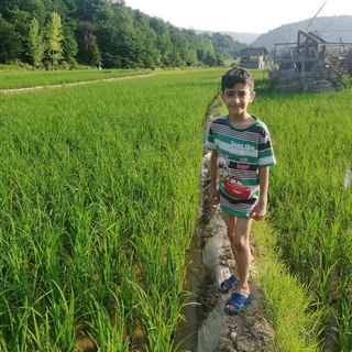 Telegram profile photo for کانال سنه کوه