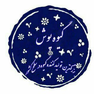 Telegram profile photo for گیوه پوش