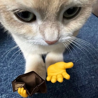 Telegram profile photo for Traffic Durka 2.0