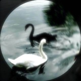 Telegram profile photo for RASMLARIM