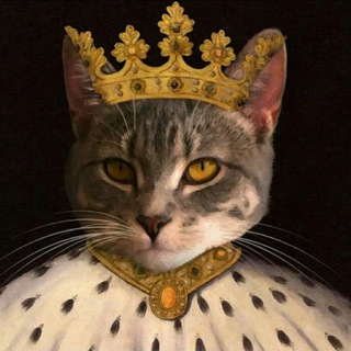 Telegram profile photo for Котороль