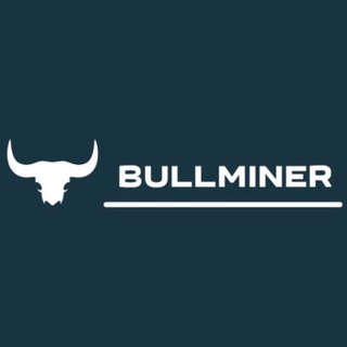 Telegram profile photo for BullMiner