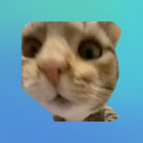 Telegram profile photo for ๐ฒ๐๐ธ๐ถ ๐ด๐๐ฟ๐๐ต๐น๐ฎ๐ฟ