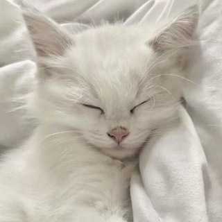 Telegram profile photo for Священный сад(РЕСТ)