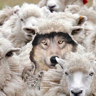 Telegram profile photo for Волки и "Овцы"