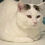 Telegram profile photo for Витюшина помойка