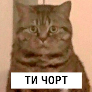 Telegram profile photo for Рецензії простих людей