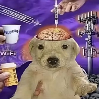 Telegram profile photo for lawbotomy