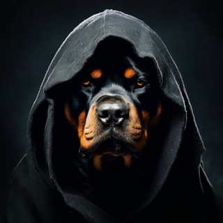 Telegram profile photo for Tomas Torkvemada Z