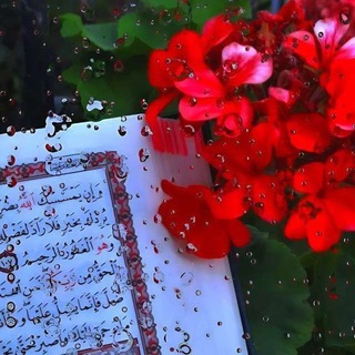 Telegram profile photo for ضمانات و تعاملات القحطاني Al-Qahtani ️ ️️️