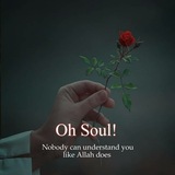 Telegram profile photo for ❤ Pearls OF ILM ❤