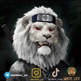 Telegram profile photo for 𝑾𝑯𝑰𝑻𝑬 𝑳𝑬𝑽 ️️🦁