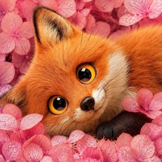 Telegram profile photo for Лисья Нора