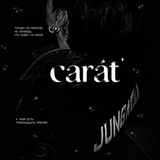Telegram profile photo for carat.