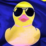 Telegram profile photo for Meu Pato Cursos (Acesso)