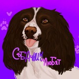 Telegram profile photo for собачники любят