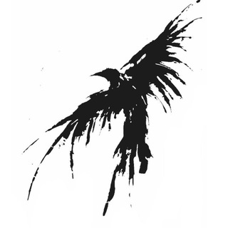 Telegram profile photo for 17mind