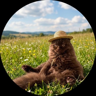 Telegram profile photo for заметки психа #влад #dreyMAFIA
