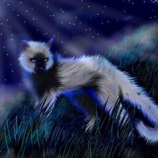 Telegram profile photo for โฑ๏ธ๐๐๐๐ ๐ ๐ก๐๐โฐ๏ธ