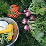 Telegram profile photo for Gardening & Cooking
