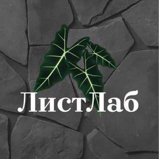 Telegram profile photo for ЛистЛаб🌿