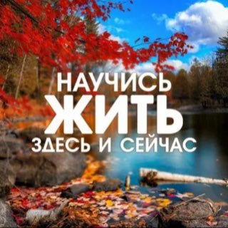Telegram profile photo for УправДОМ: ЖКХ и УК