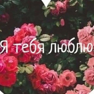 Telegram profile photo for Феи Киева (оригинал) | Чат Знакомств: Содержанки и Спонсоры