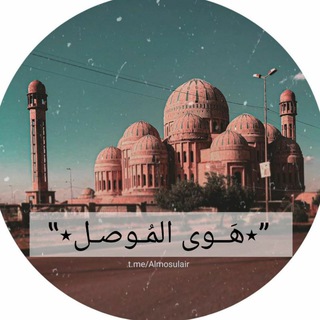 Telegram profile photo for هوى الموصل