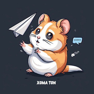 Telegram profile photo for Homa TON