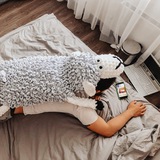 Telegram profile photo for Уютные вещи для дома I Мастерклассы I Вязаные пледы и плетеные корзины I Игрушки