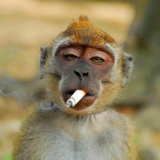 Telegram profile photo for Акакий 🍌