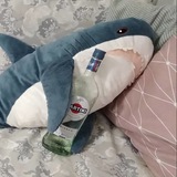 Telegram profile photo for общество вялых акул