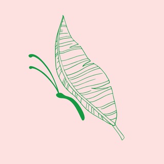 Telegram group profile photo for Парк бабочек Paradise