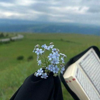 Telegram profile photo for مُهْجَة | صلّوا على النبيّ.