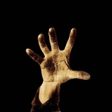 Telegram profile photo for victim of a down