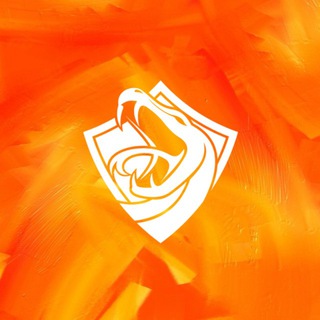 Telegram profile photo for 🇮🇹 «Astello» - Turin
