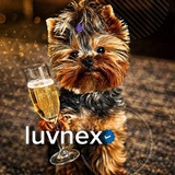 Telegram profile photo for luvnex🖤