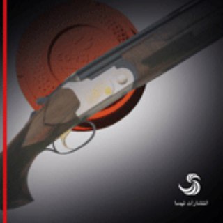 Telegram profile photo for shotgun_shooting