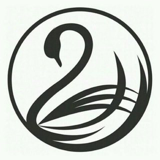 Telegram group profile photo for STRATEGI OLYMPTRADE