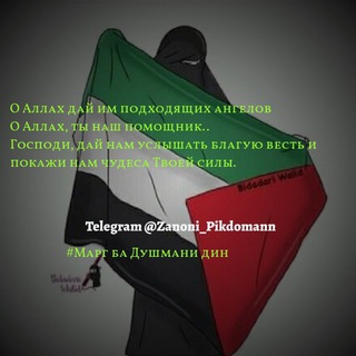 Telegram profile photo for Занони Покдоман