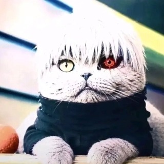 Telegram profile photo for 𝕺𝖓𝖟𝖞𝖗𝖚