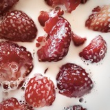 Telegram profile photo for 🍓🕷️info ksinki