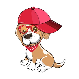 Telegram group profile photo for Smart Shiba | EN