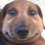 Telegram profile photo for ГОВНО