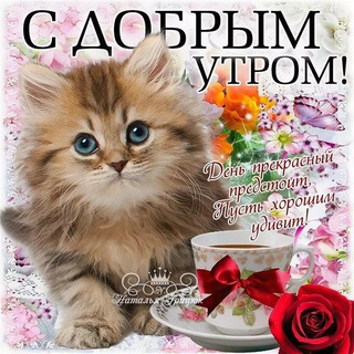 Telegram profile photo for Добренькое утречко