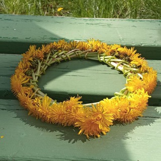 Telegram profile photo for 🌼 Венок из одуванчиков 🌼