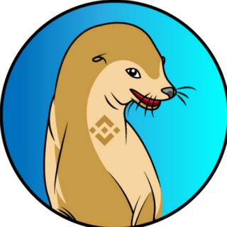 Telegram group profile photo for SeaDoge