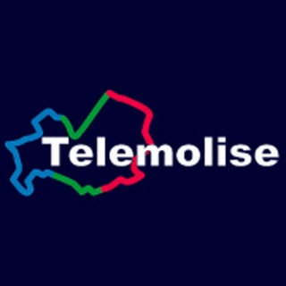Telegram profile photo for Telemolise