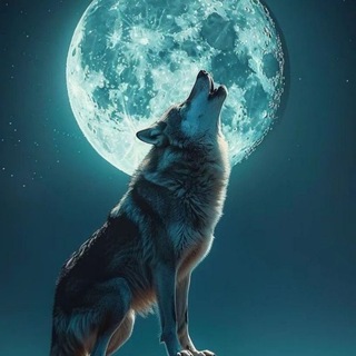Telegram profile photo for 狼友榨汁报告-免费上榜