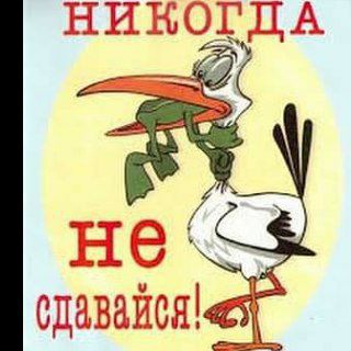 Telegram profile photo for NEVER GIVE UP